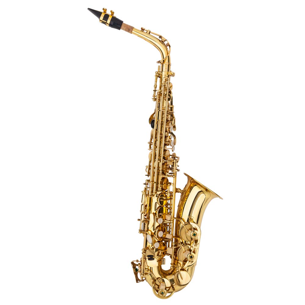 Alto Saxophone D293