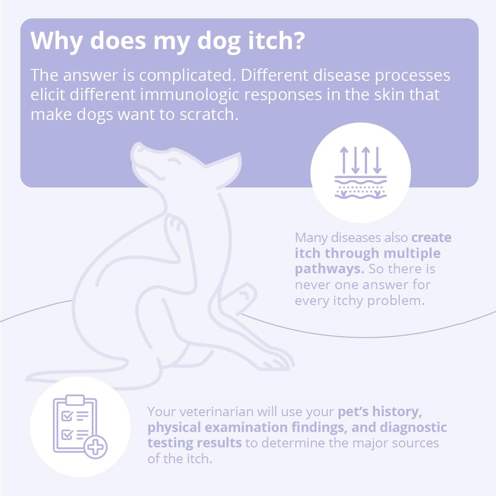 8 oz Dog and Cat Shampoo F238777