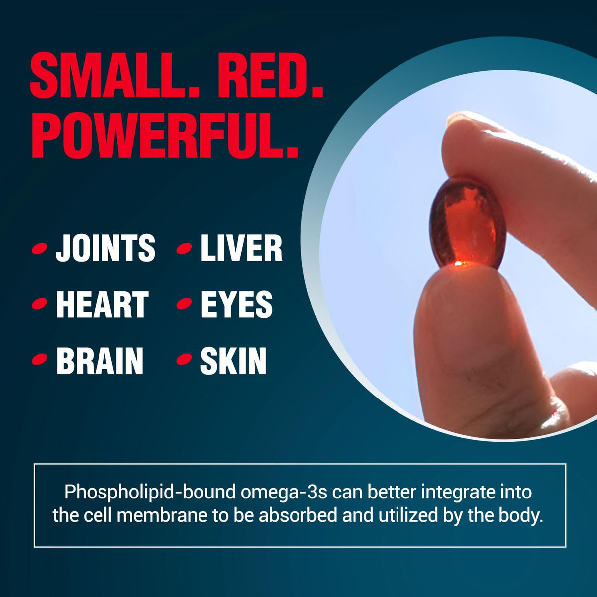 Omega-3 Krill Oil 60 Ct x 2 Pack O810