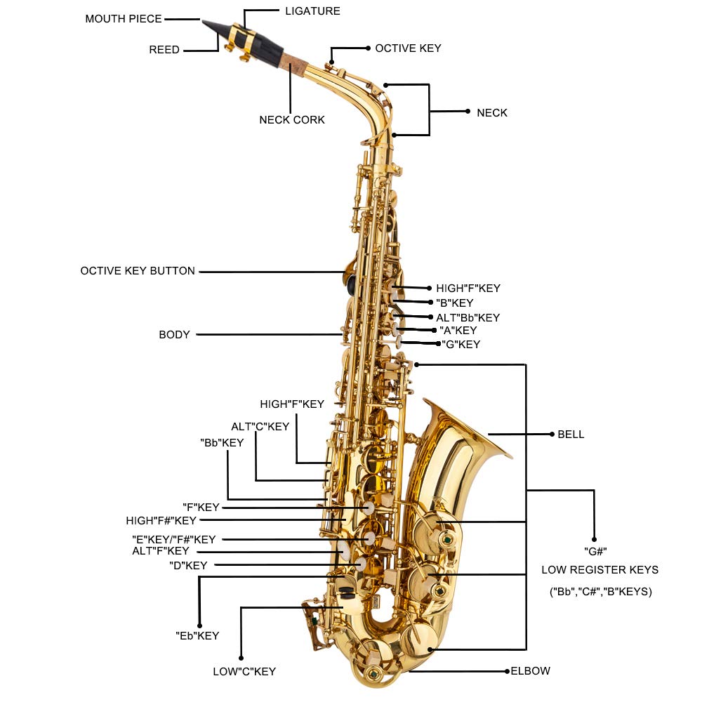 Alto Saxophone D293