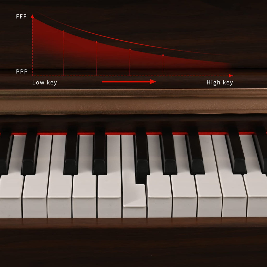 88 Key Full Weighted Digital Piano with Triple Pedal N174419