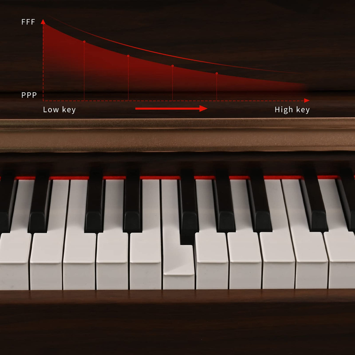 88 Key Full Weighted Digital Piano with Triple Pedal N174419