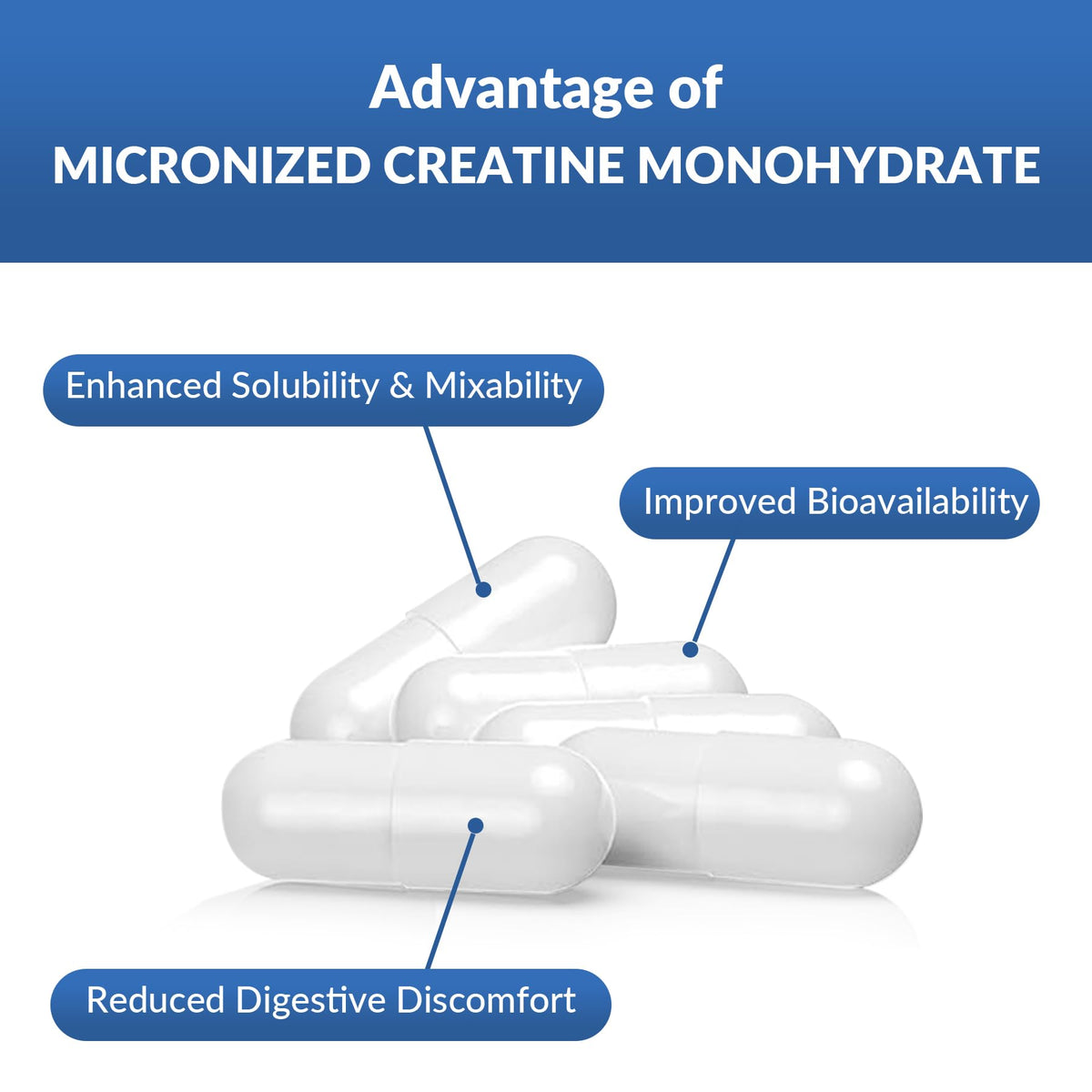 5000mg Micronized Creatine Monohydrate Capsules with Vitamin B12, Vegan, Gluten Free, 150 Count H7441