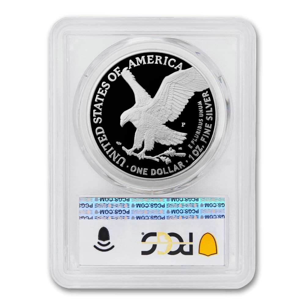 1 oz American Silver Eagle Coin T8842