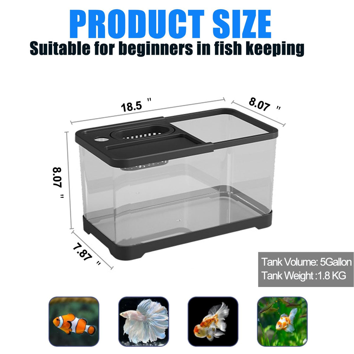 5 Gallon Plastic Aquarium Starter Kit with Filter and LED Light H697170
