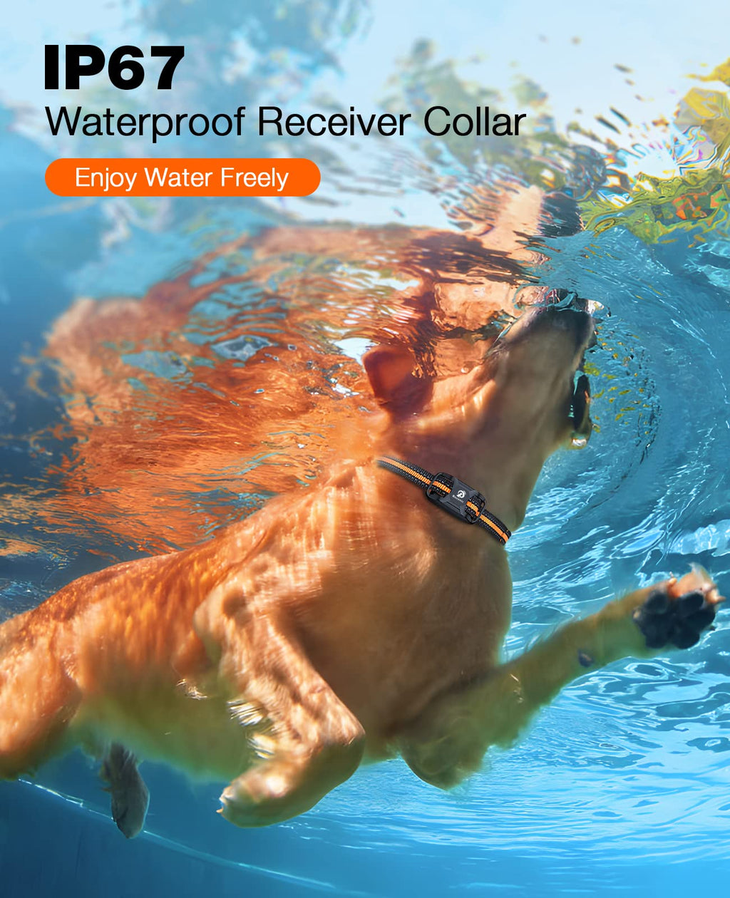 Rechargeable Waterproof Dog Training Collar with Remote H171
