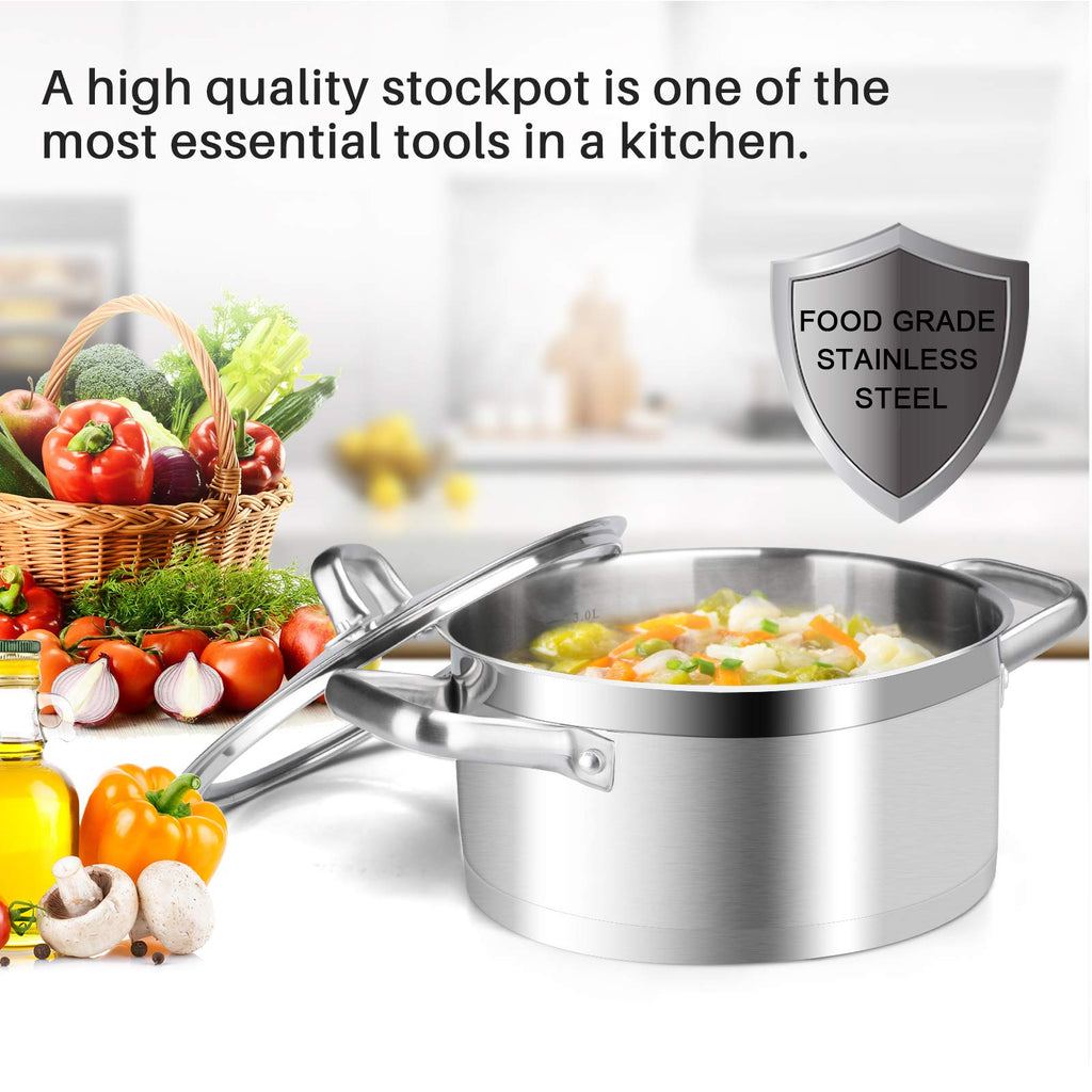 Stainless Steel 4.2 Qt Stock Pot with Lid T90238