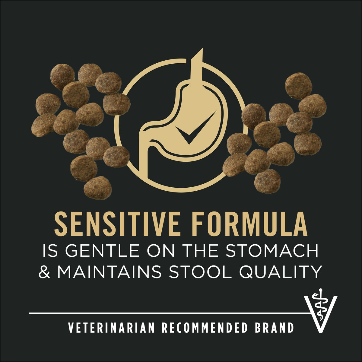 Sensitive Skin & Stomach Puppy Dog Food 24 lb Bag R95743