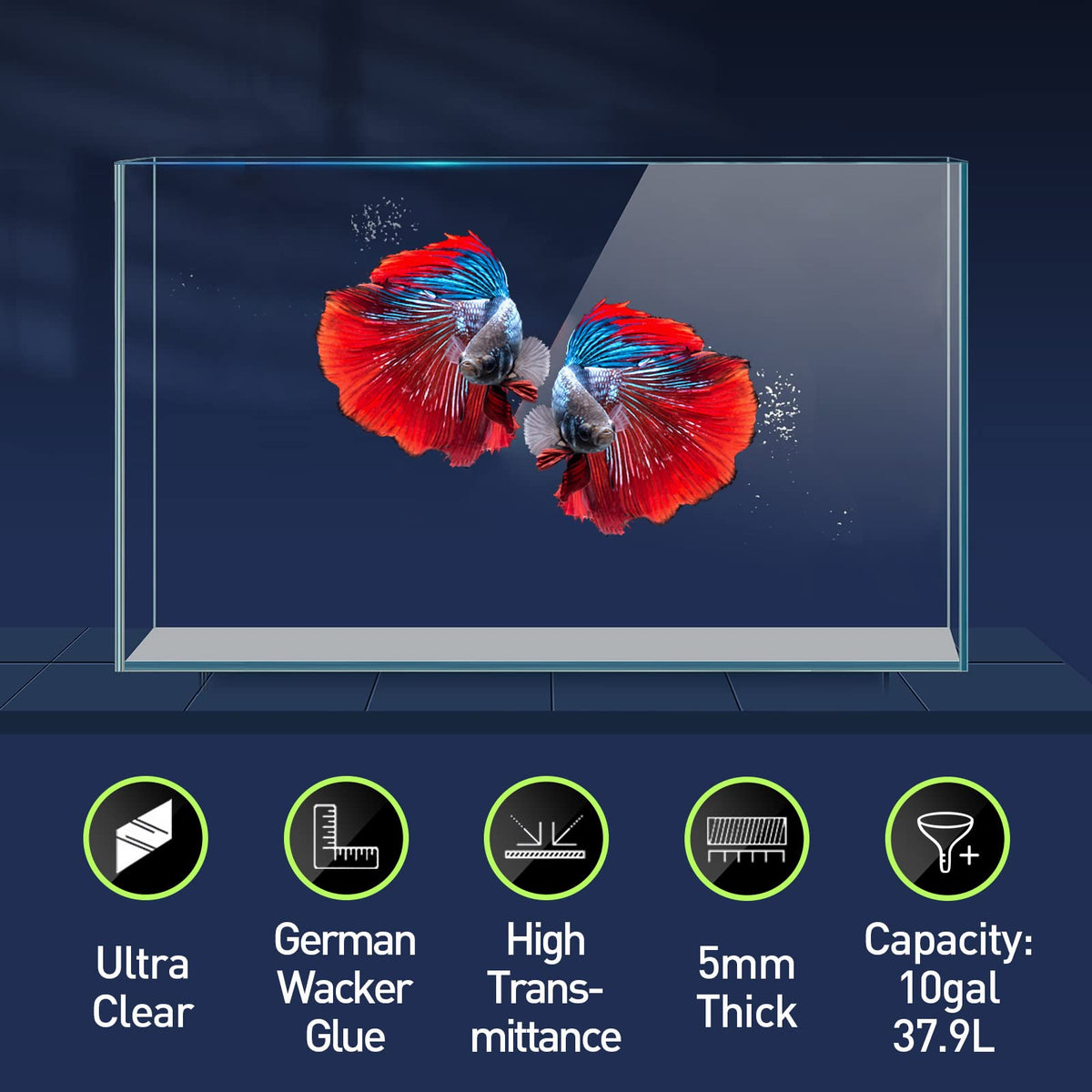 10 Gallon Ultra Clear Rimless Low Iron Glass Fish Tank G913