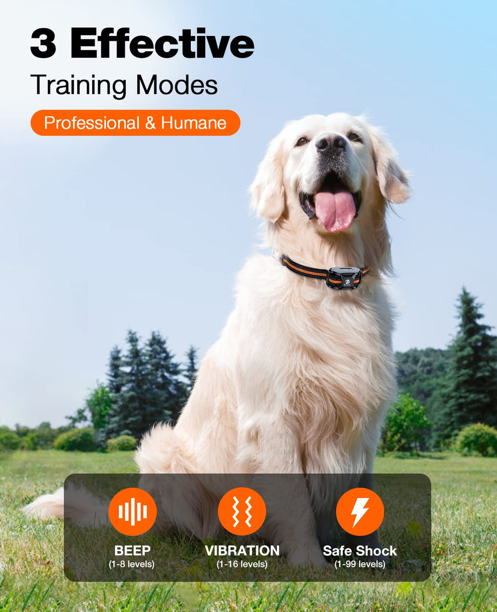Rechargeable Waterproof Dog Training Collar with Remote H171