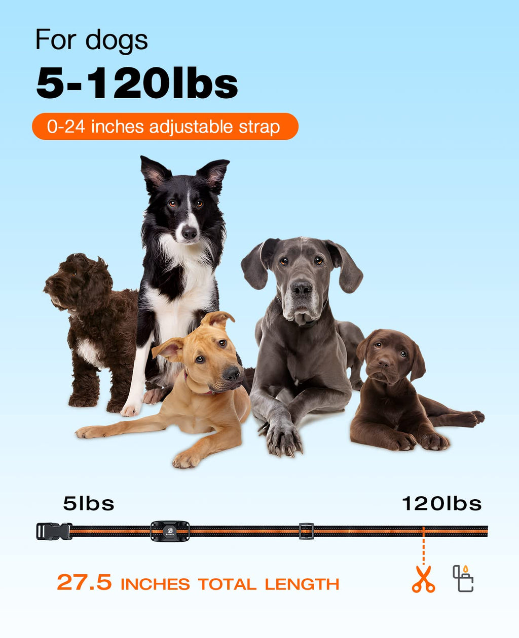 Rechargeable Waterproof Dog Training Collar with Remote H171