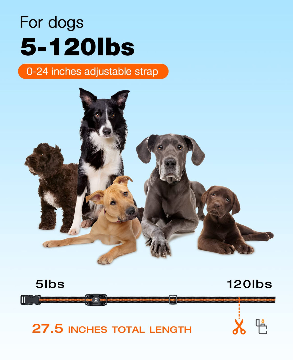 Rechargeable Waterproof Dog Training Collar with Remote H171