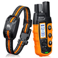Rechargeable Waterproof Dog Training Collar with Remote H171