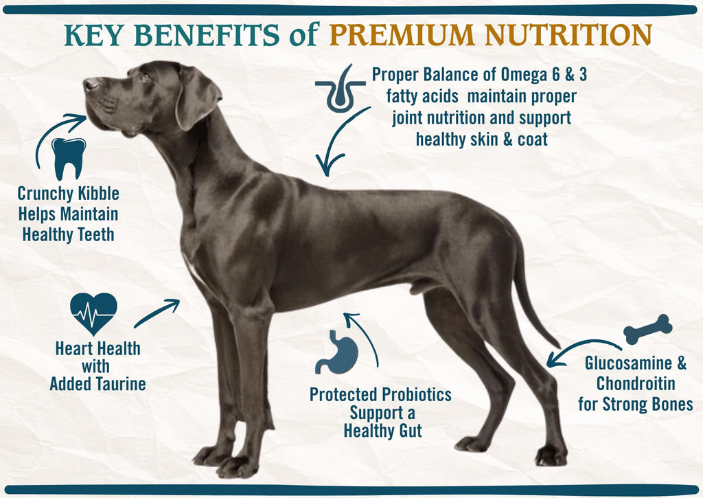 Large Breed Adult Dry Dog Food Chicken Brown Rice Turkey 28lb F485304