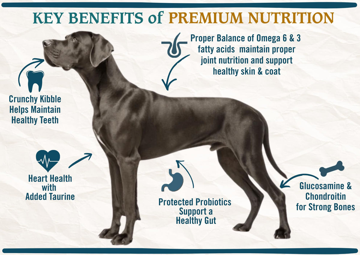 Large Breed Adult Dry Dog Food Chicken Brown Rice Turkey 28lb F485304