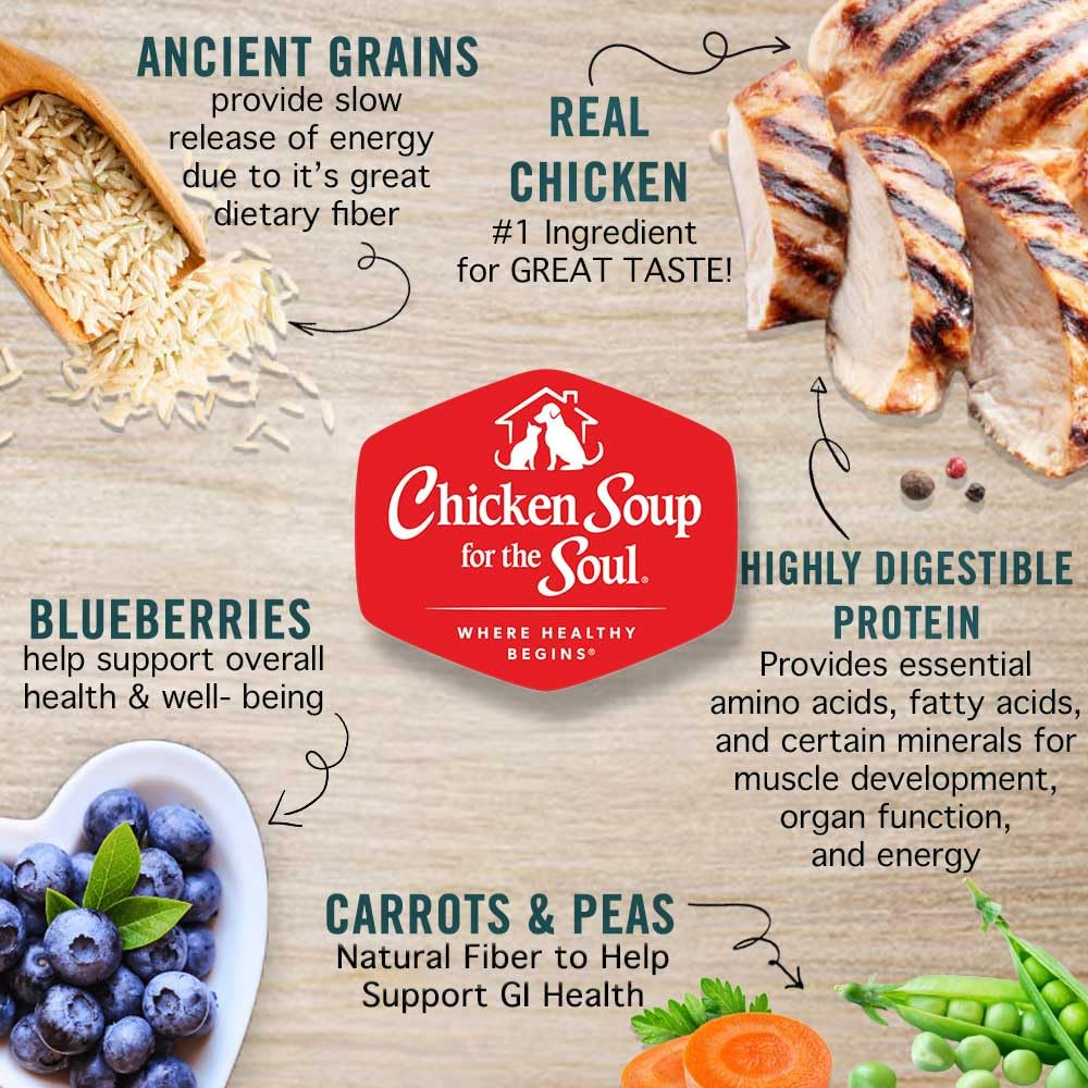 Large Breed Adult Dry Dog Food Chicken Brown Rice Turkey 28lb F485304