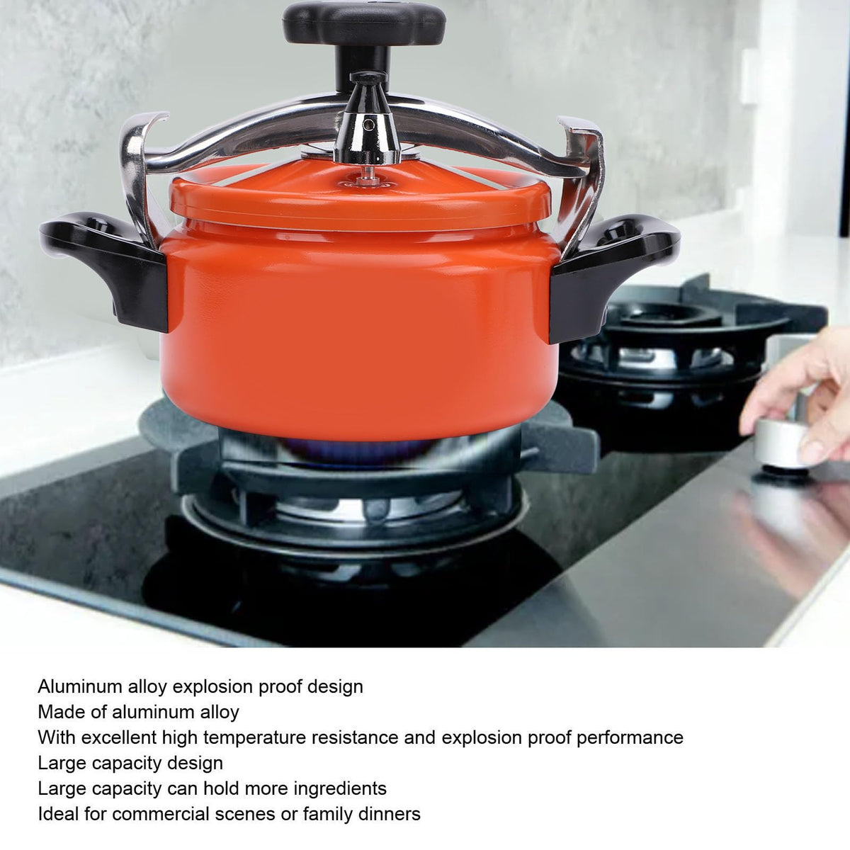 Aluminum Alloy Pressure Cooker with Double Bottom 2L E2805