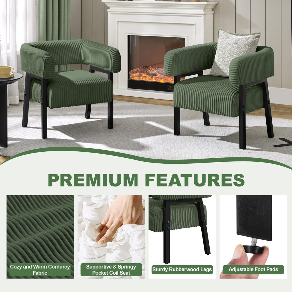 Accent Living Room Chair Set of 2 T58623