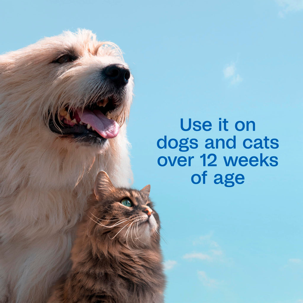 Plus Pyrethrin Flea Dip For Dogs and Cats 4 Fl oz U617