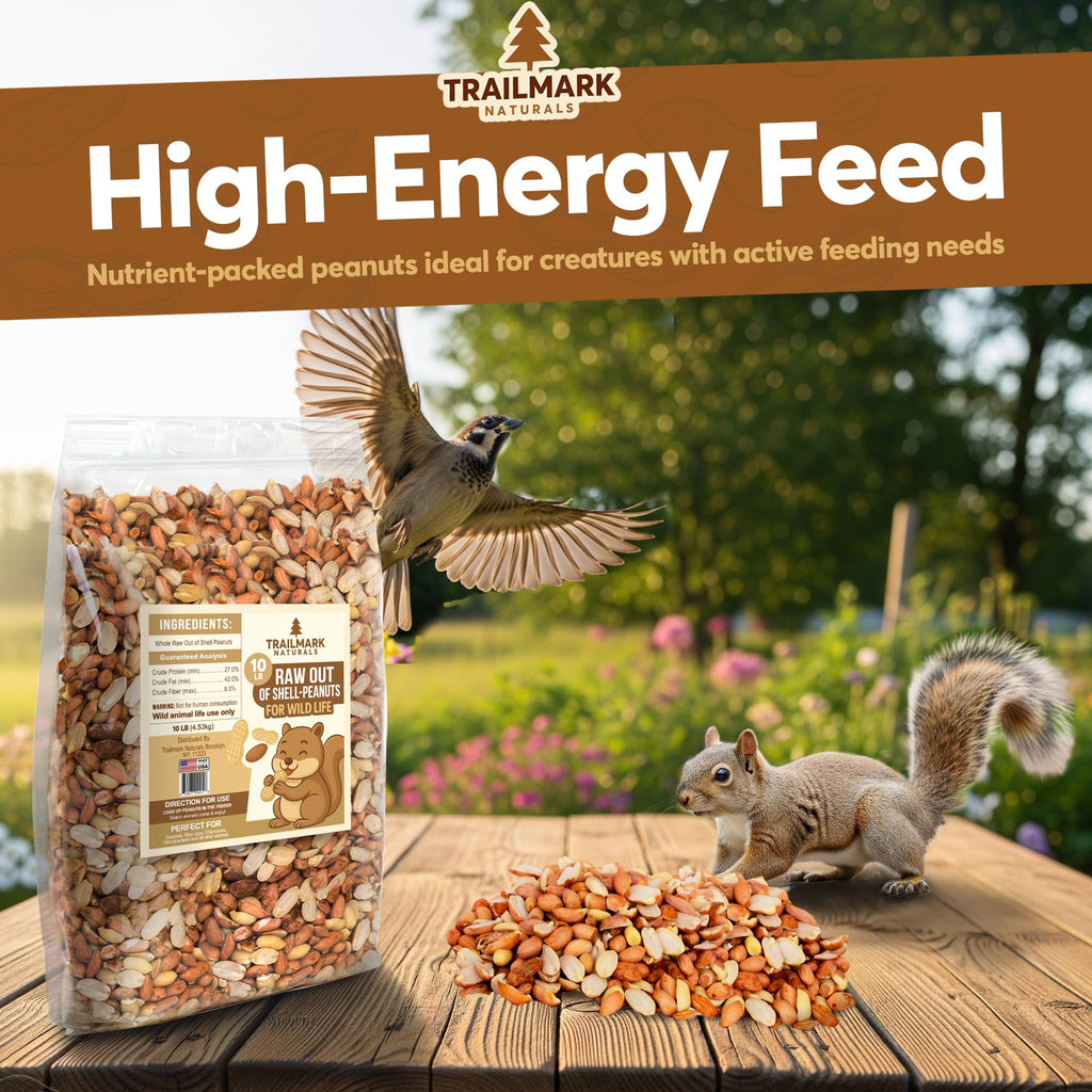 Raw Shelled Peanuts Z339
