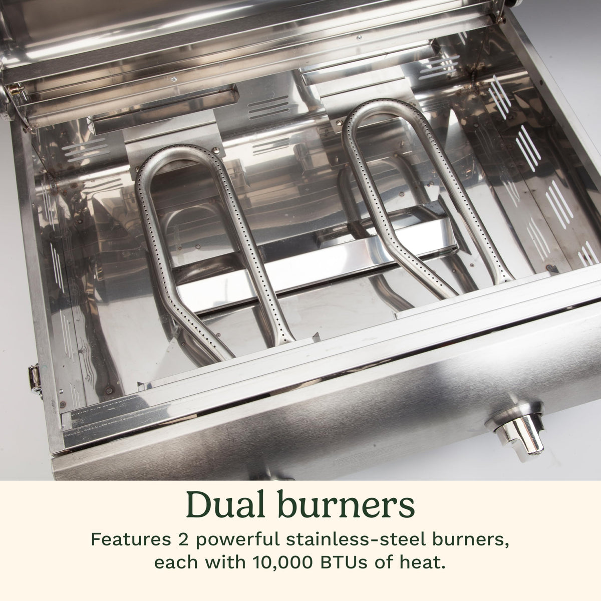 Portable 2-Burner Outdoor Gas Grill E628853