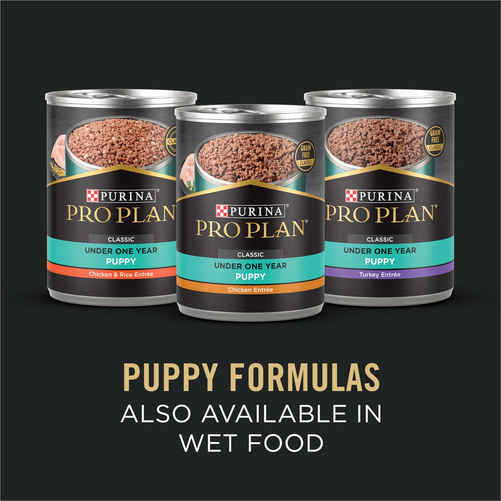 Sensitive Skin & Stomach Puppy Dog Food 24 lb Bag R95743
