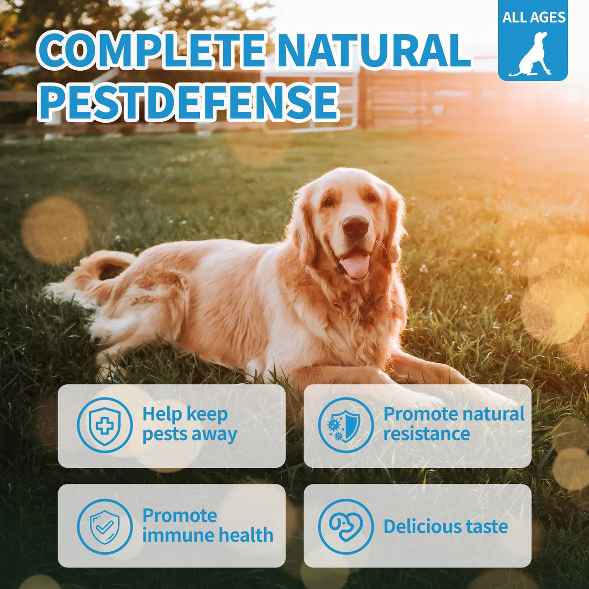 Flea and Tick Chewables 200Ct A16903
