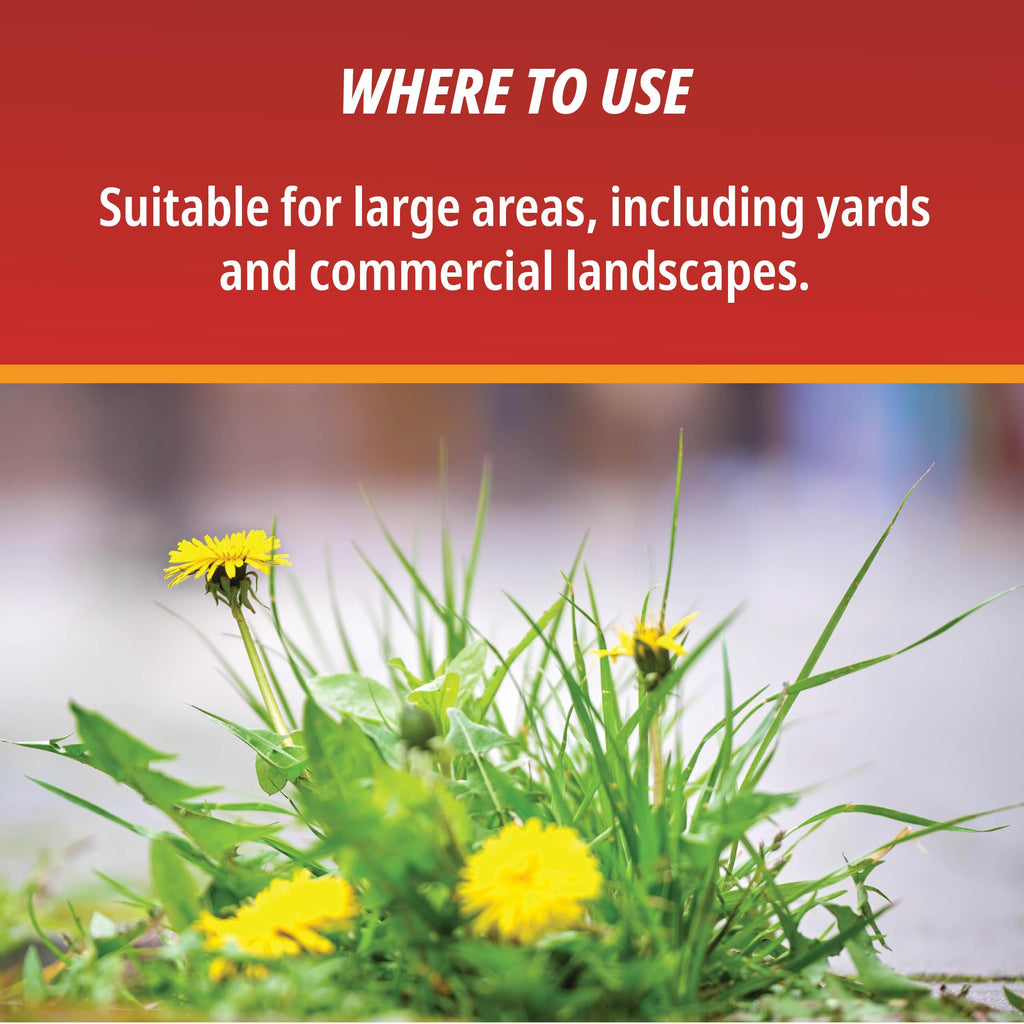 1 Gallon Weed & Grass Killer Concentrate Q385