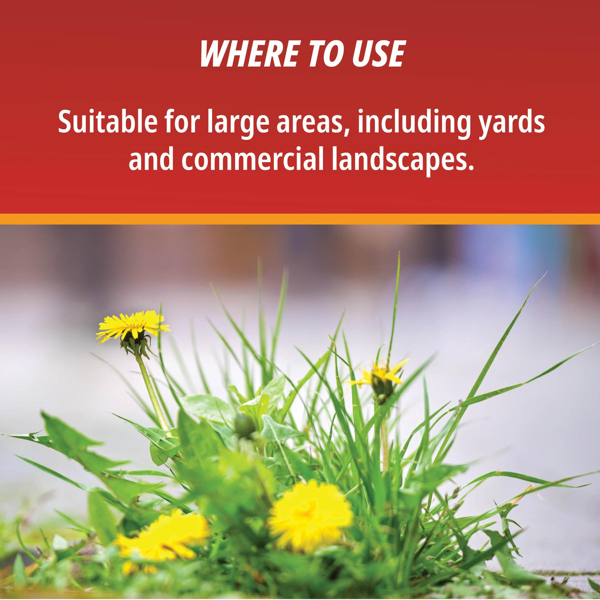 1 Gallon Weed & Grass Killer Concentrate Q385