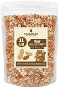 Raw Shelled Peanuts Z339