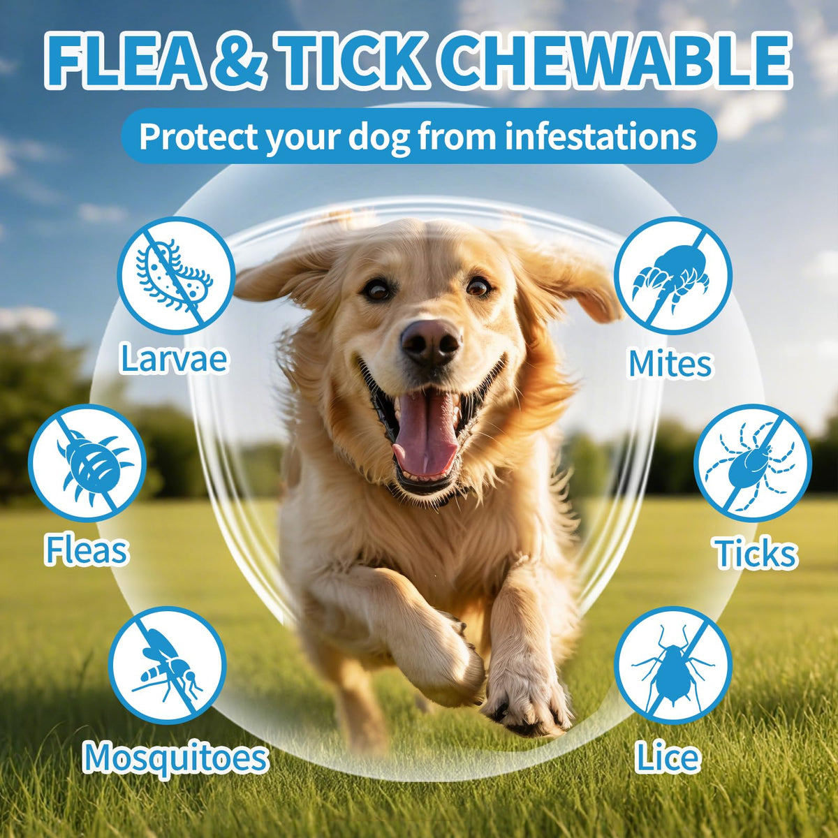 Flea and Tick Chewables 200Ct A16903