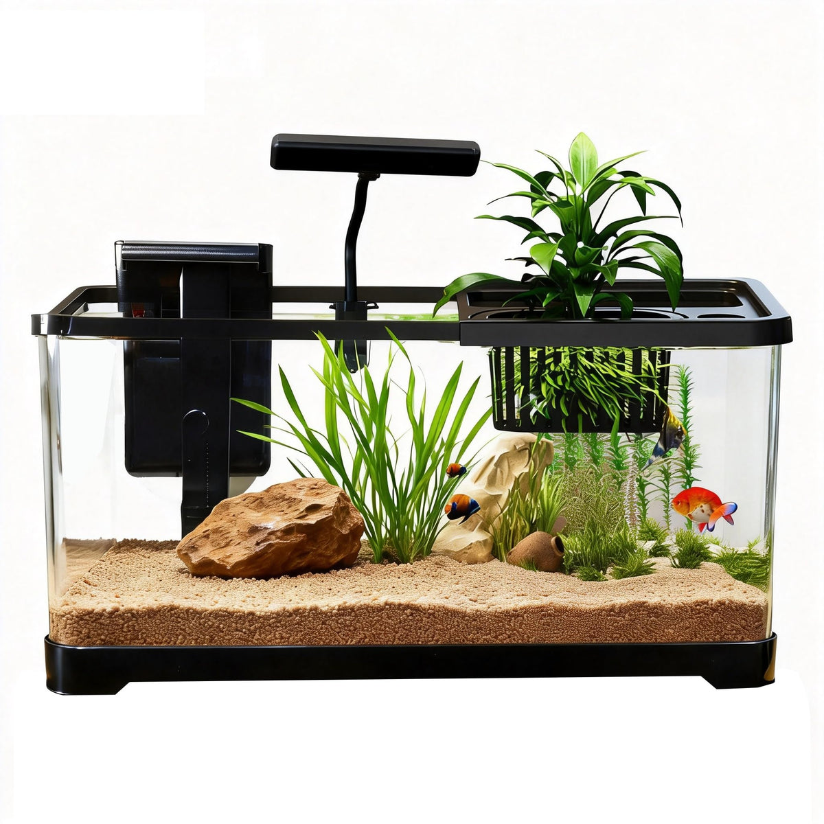 5 Gallon Plastic Aquarium Starter Kit with Filter and LED Light H697170