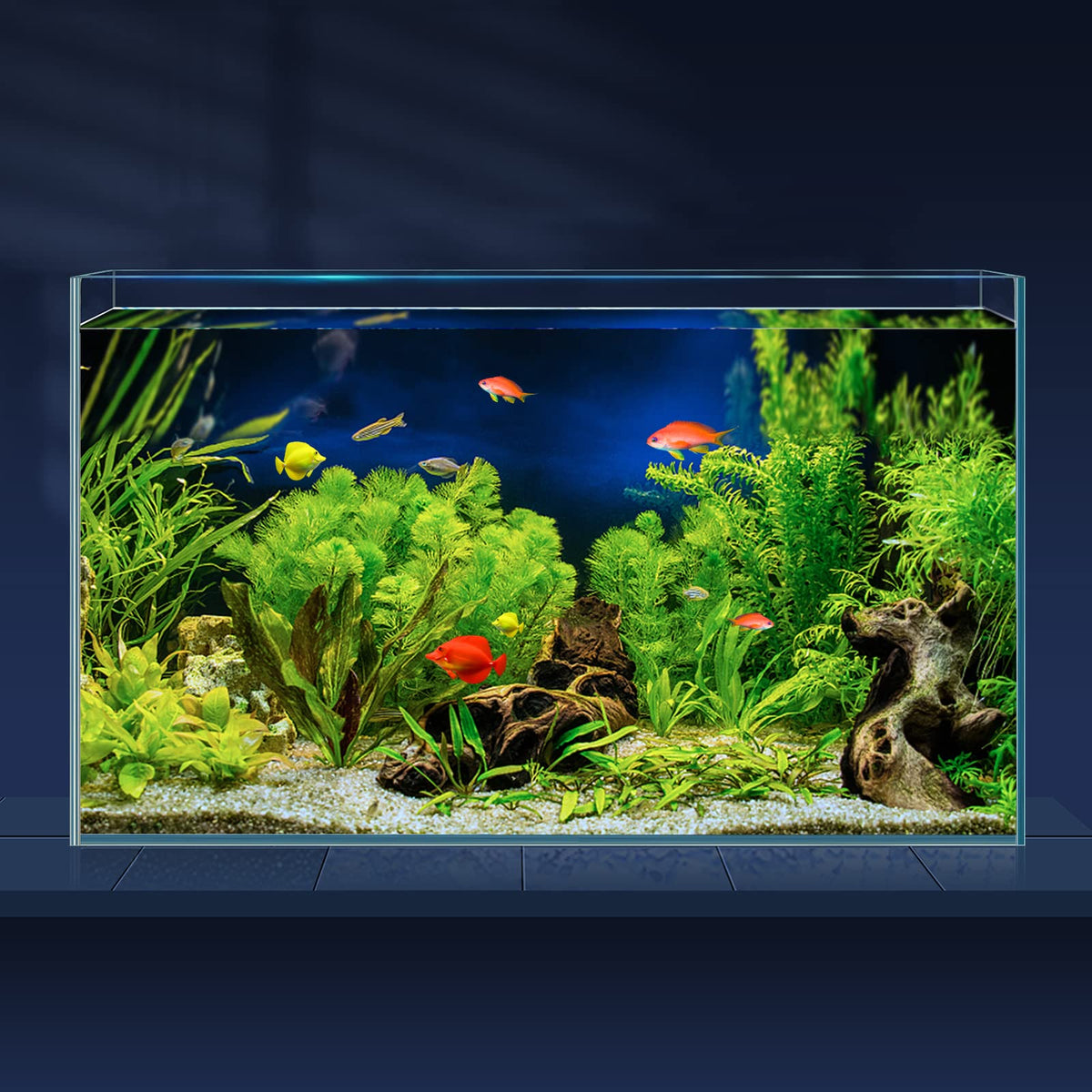 10 Gallon Ultra Clear Rimless Low Iron Glass Fish Tank G913