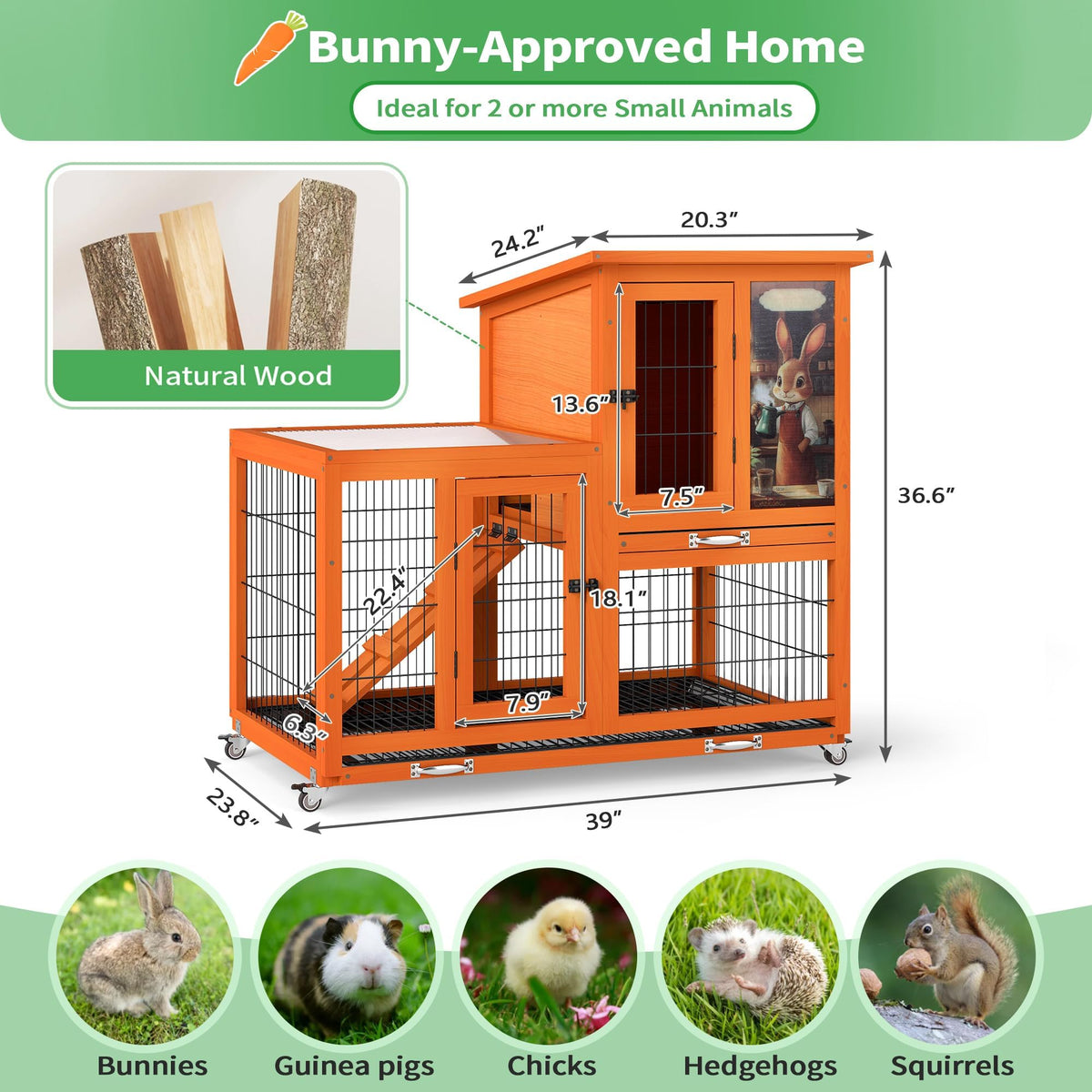 Rabbit Hutch with Wire Floor & Removable Tray S6234