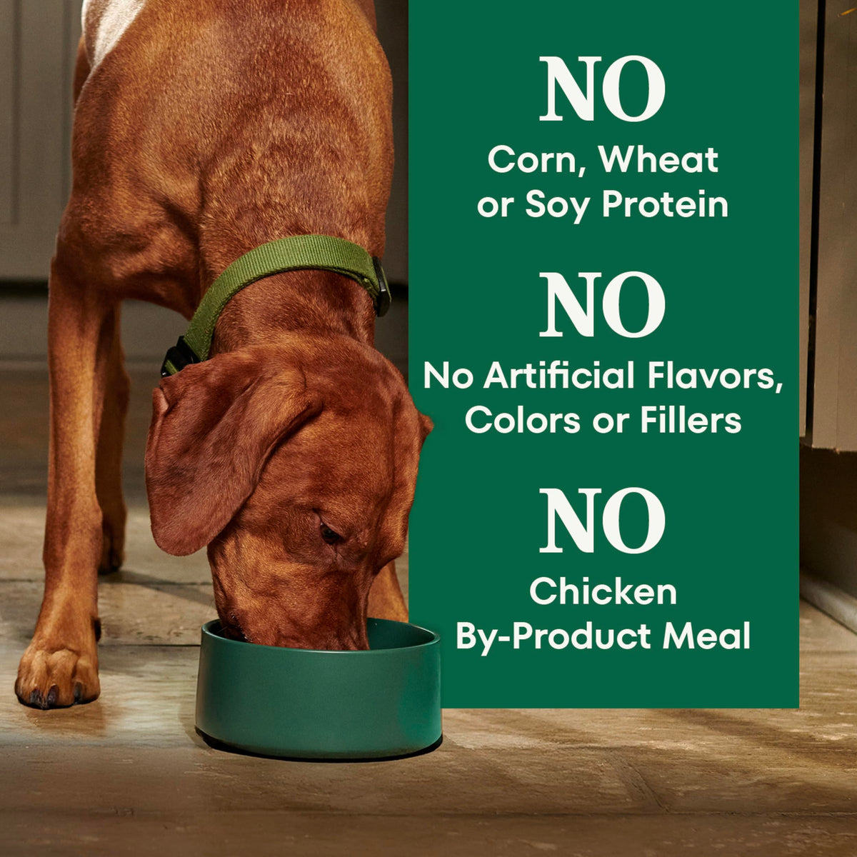 Adult Dry Dog Food, Lamb & Brown Rice Recipe, 36 lb O8950