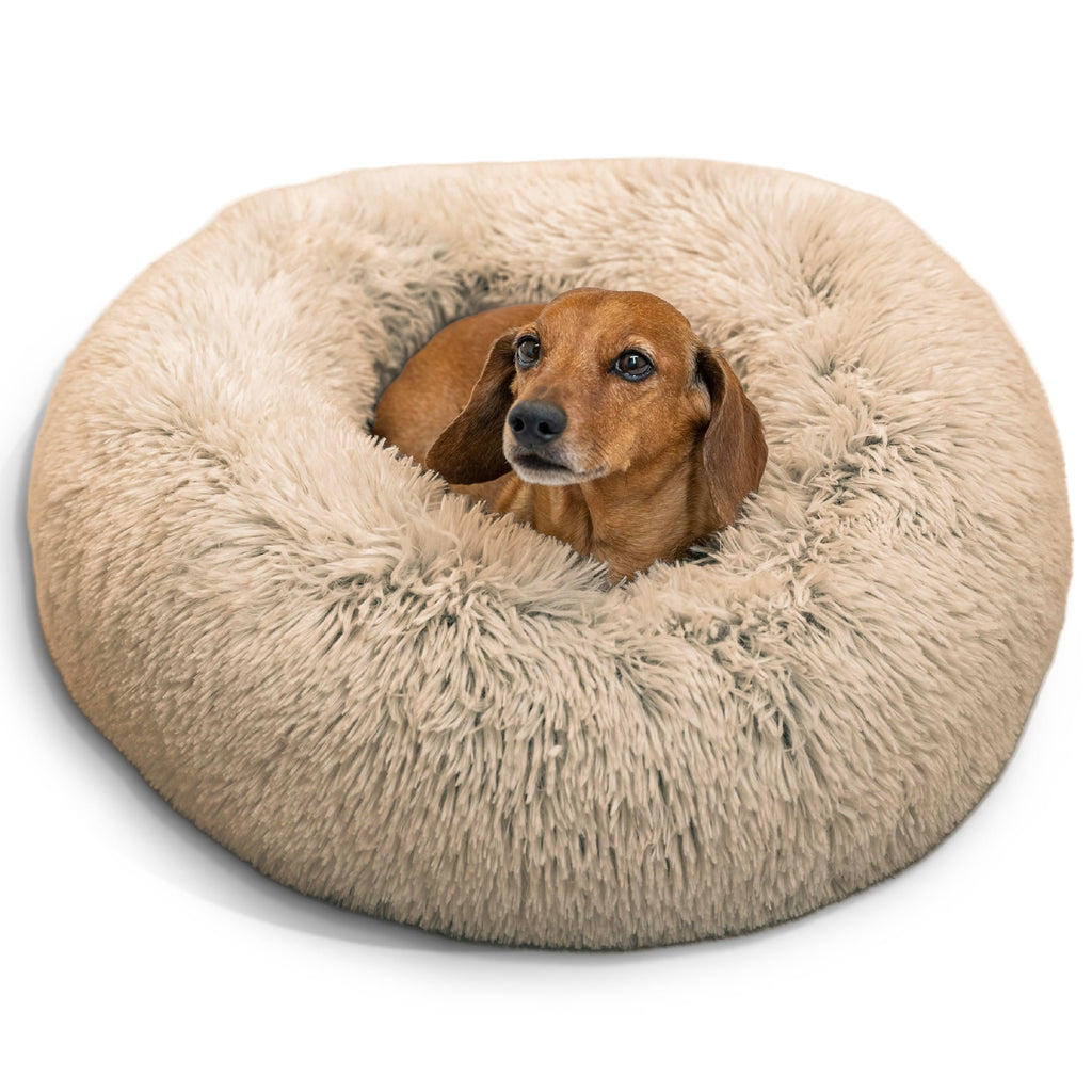 Small Taupe Dog Bed Y65676