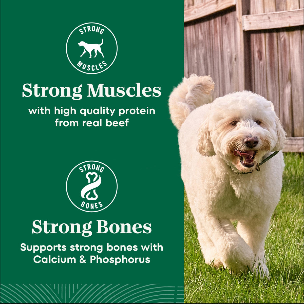 Adult Dry Dog Food, Lamb & Brown Rice Recipe, 36 lb O8950