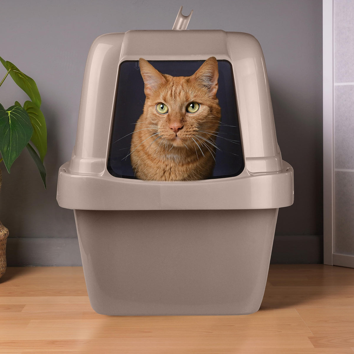 Large Enclosed Sifting Cat Pan with Odor Door, Hooded, Beige N623480
