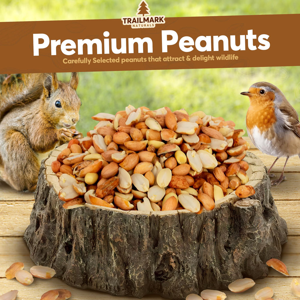 Raw Shelled Peanuts Z339