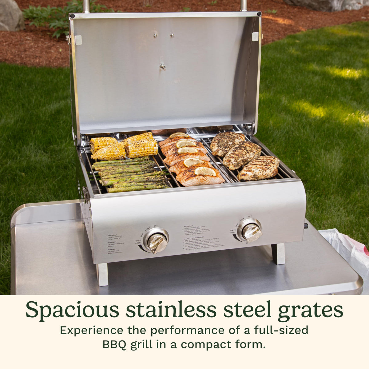 Portable 2-Burner Outdoor Gas Grill E628853