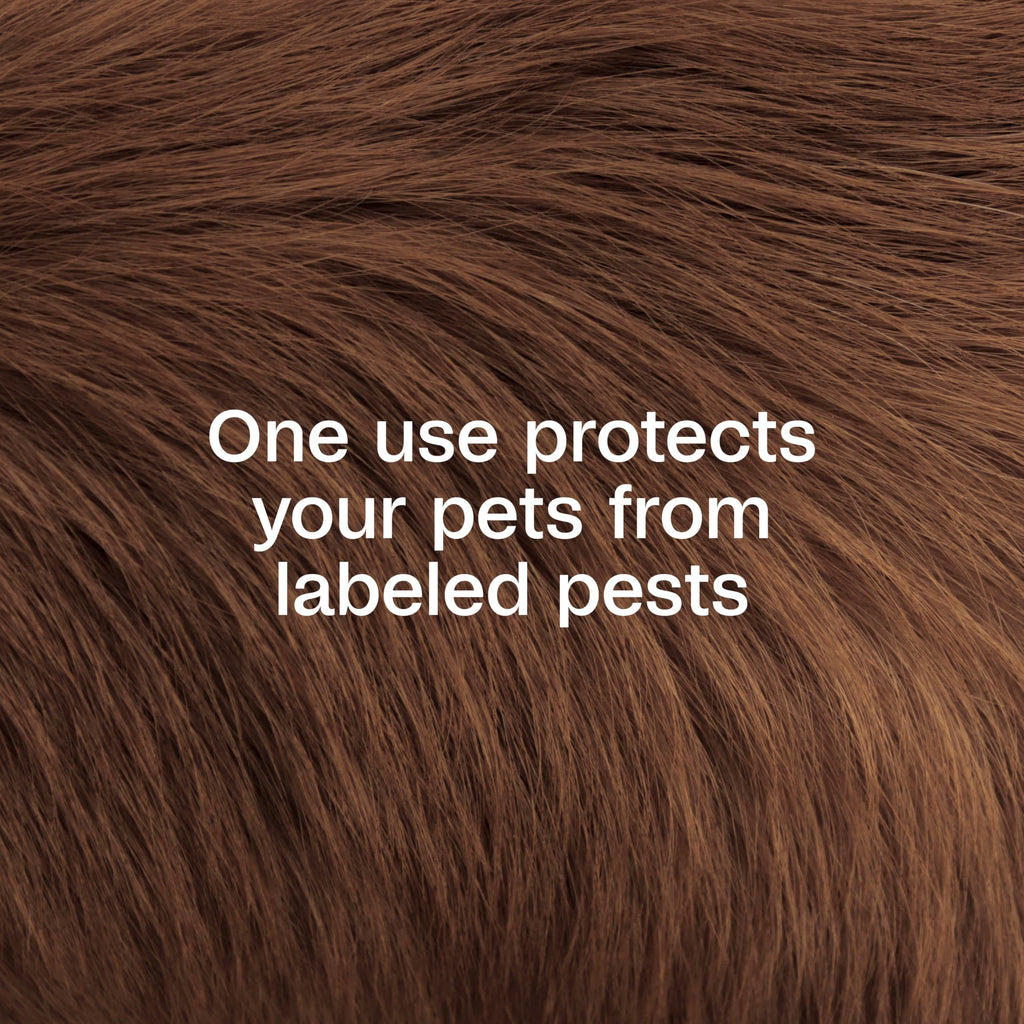 Plus Pyrethrin Flea Dip For Dogs and Cats 4 Fl oz U617