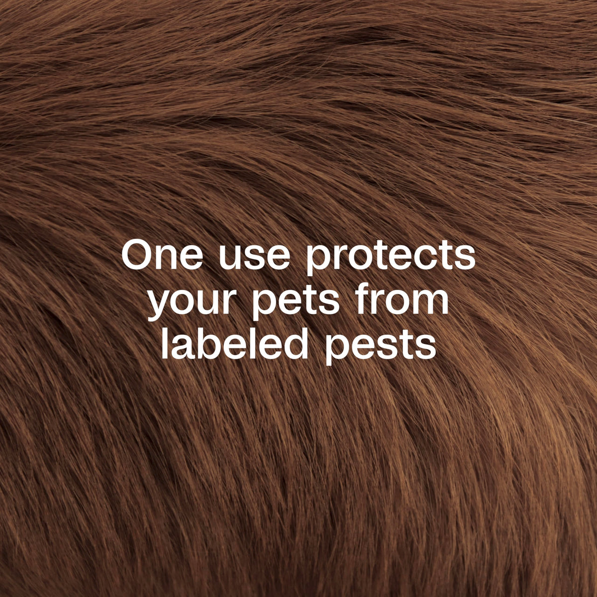Plus Pyrethrin Flea Dip For Dogs and Cats 4 Fl oz U617