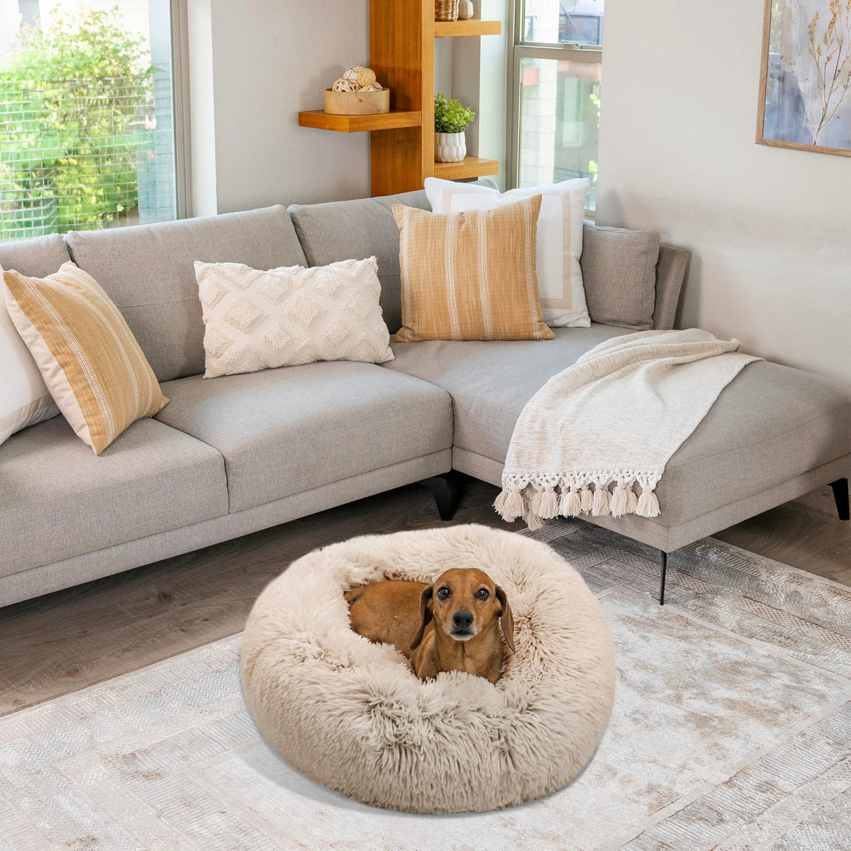 Small Taupe Dog Bed Y65676