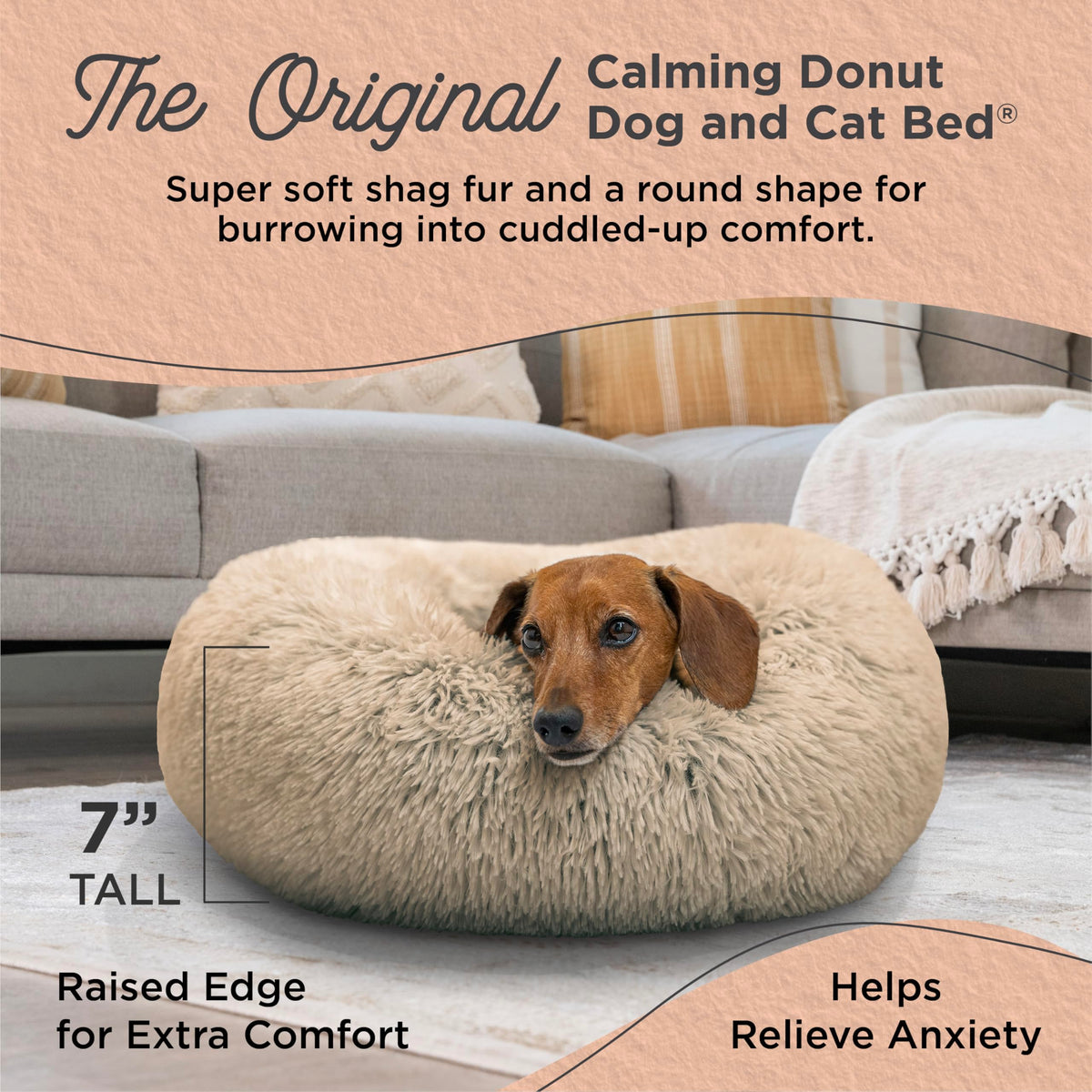 Small Taupe Dog Bed Y65676