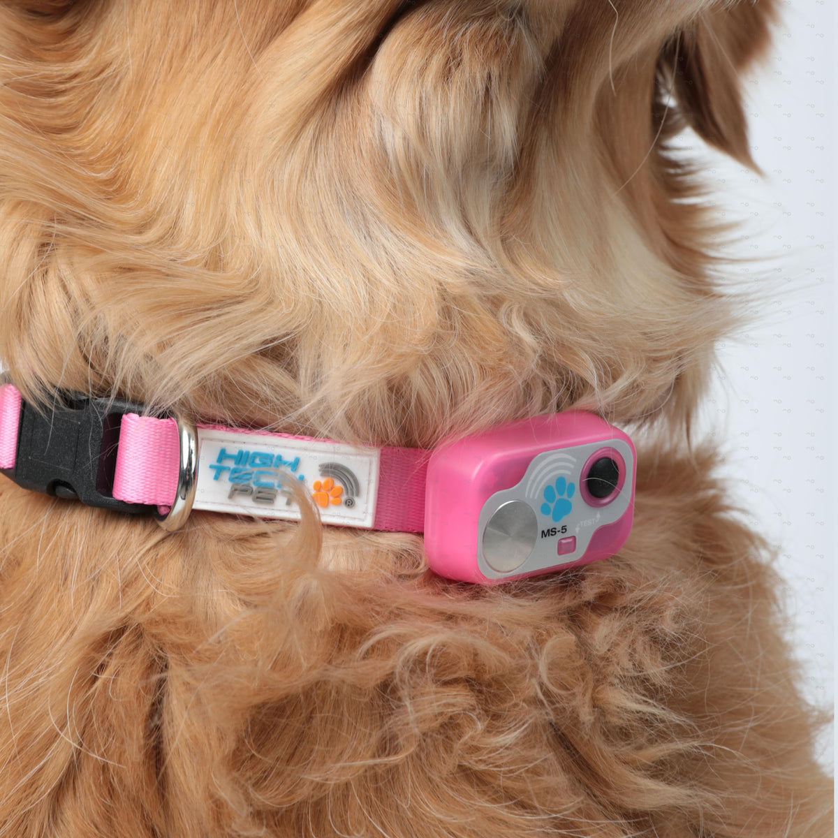 Automatic Pet Door O33223