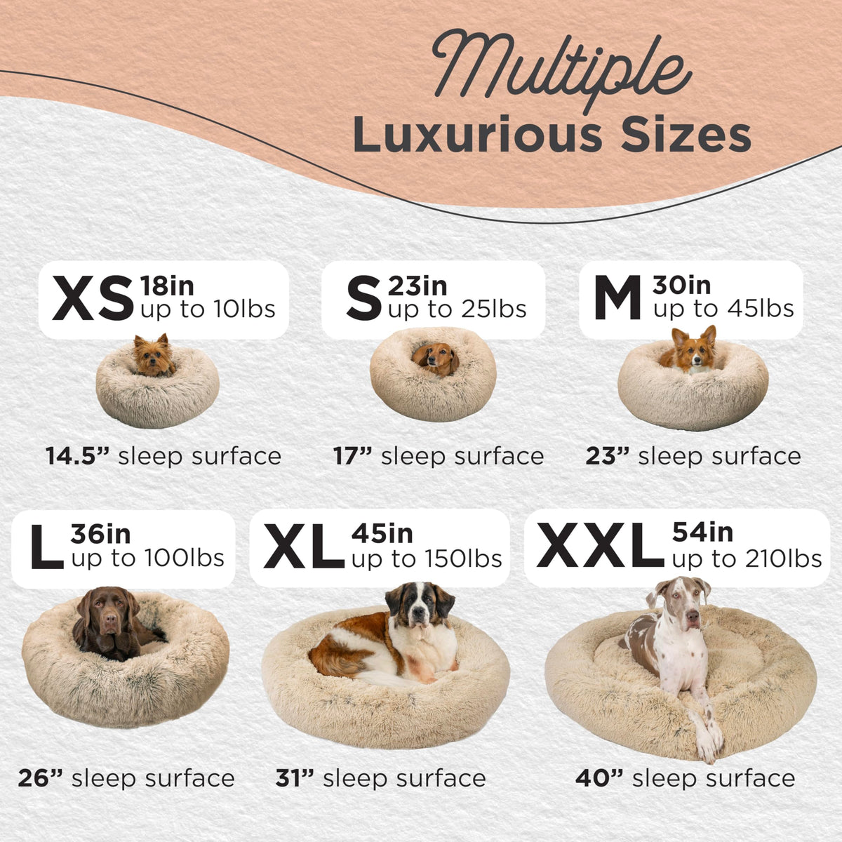 Small Taupe Dog Bed Y65676