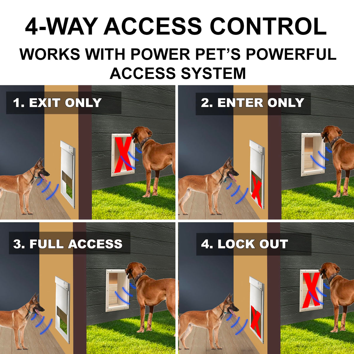 Automatic Pet Door O33223