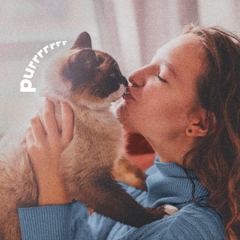 Plus Pyrethrin Flea Dip For Dogs and Cats 4 Fl oz U617